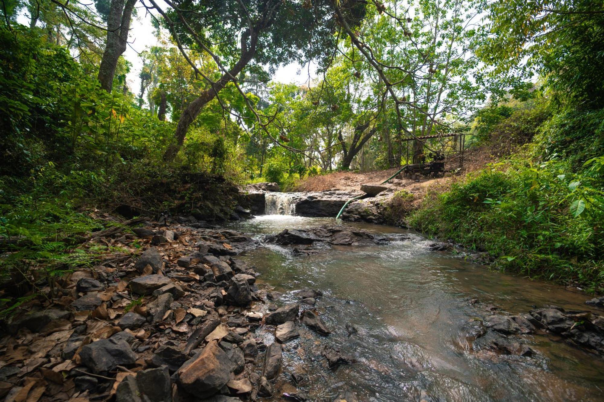 Villa Kingmaker'S Plantation With River Stream Madikeri Exterior foto