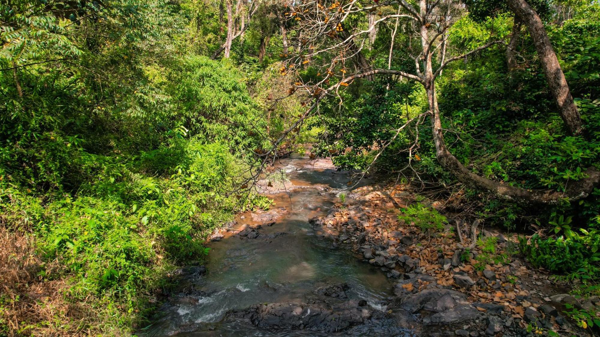 Villa Kingmaker'S Plantation With River Stream Madikeri Exterior foto