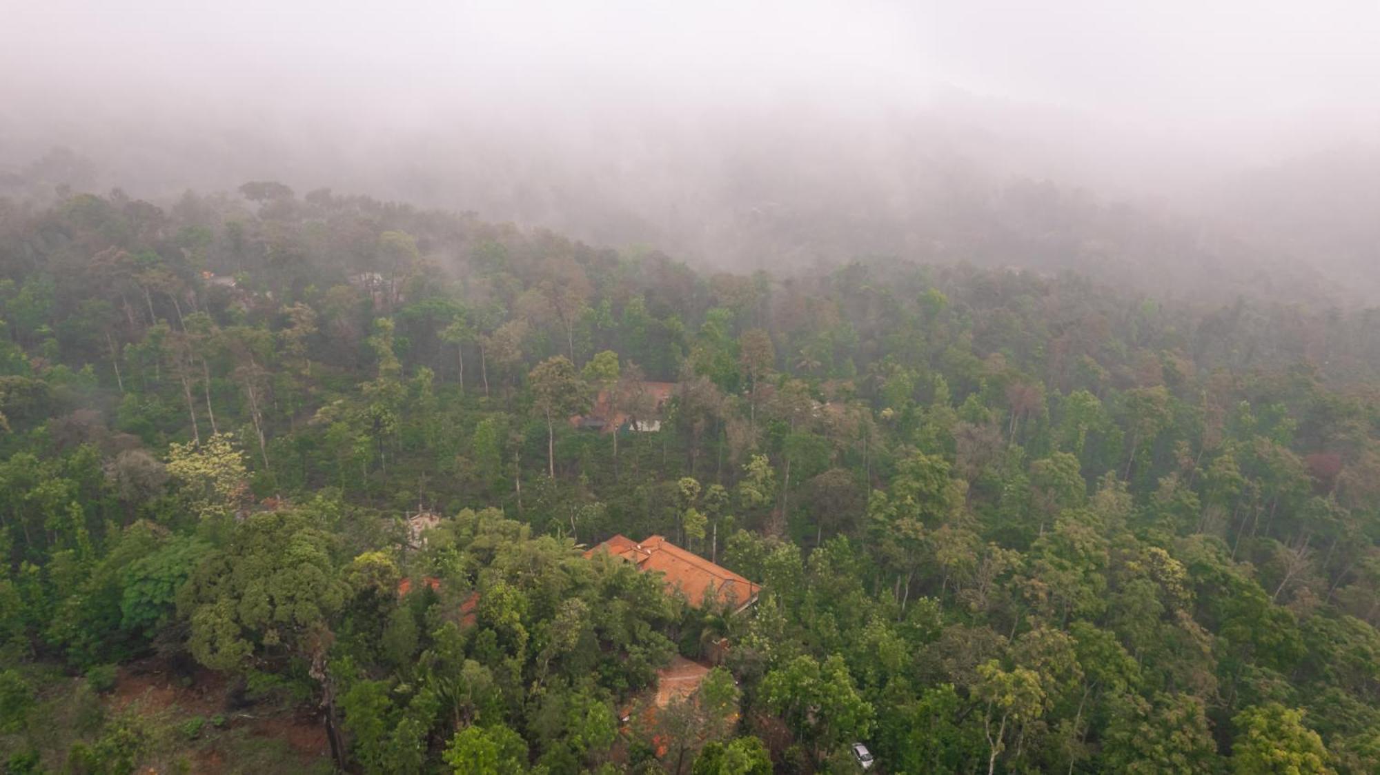 Villa Kingmaker'S Plantation With River Stream Madikeri Exterior foto